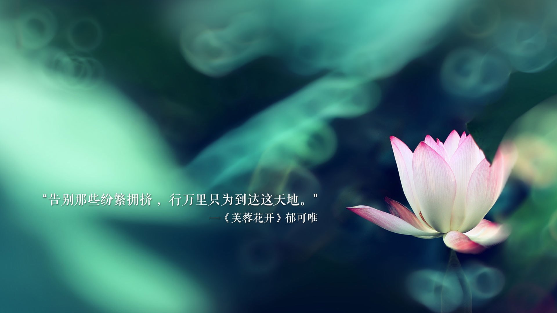 万华化学产品代理公司地址电话(万华化学销售部电话)